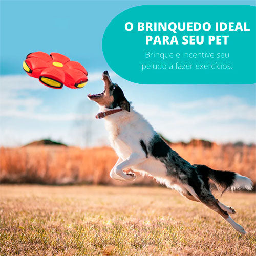 Super Bola Voadora Para Cães